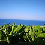 Feri